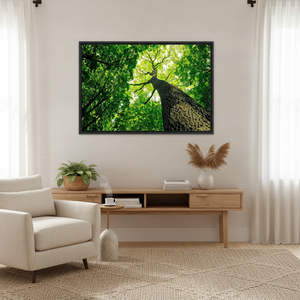 Elegant Boho Decor: Printed <b>Canvas</b> Wall Art for Modern Spaces,BLACK <b>FRAMED</b> <b>CANVAS</b> - Product Image 3