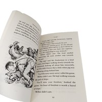 Книги оптом от Charlotte's Web: мягкая обложка, индивидуальная печать, легкая бумага, романы для взрослых, учебные пособия, цветная печать обложки.