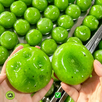 Jouet anti-stress en TPR de 6 cm, vert et rouge, sonore, à presser, avec effets sonores de slush, simulation de kiwi et de pomme de terre, fruits et légumes