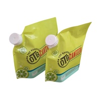 Sac pochette bec liquide personnalisé pochette de sous-emballage recharge réutilisable avec bec verseur emballage boisson jus gelée sac pochette alimentaire debout