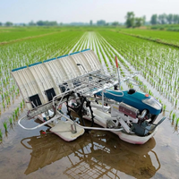 Machine à planter des graines de riz de haute précision Wishope, 6 rangs, transplanteur de riz agricole à conducteur marchant