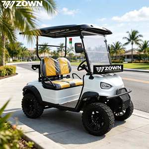 Carrito de Golf Eléctrico Multiplaza con Batería de Litio, Bajo Ruido, con Techo, para Caza, Ranchos, Propiedades Privadas y Servicio de Alquiler - Product Image 1