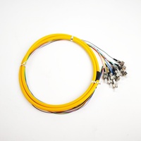 Suministro Directo de Fábrica, Cable de Fibra Óptica de Alta Calidad de 0.9, 2.0 y 3.0 mm, FC/UPC, 12 Núcleos, Cable Pigtail, Cable de Conexión de Fibra Óptica para FTTH