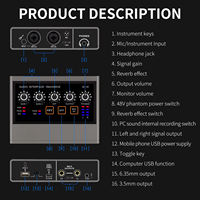 Interfaz de Audio USB Rayco Q-16 de Alta Calidad, Tarjeta de Sonido de Estudio, Metal+ABS, Dispositivo de Grabación Directa de Voz Ajustable, Cableado