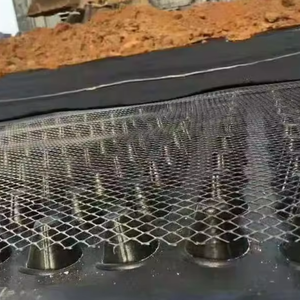 Telo di Drenaggio in HDPE, Foglio di Drenaggio a Punti per Terrazze, Giardini, Tetti, Campi da Calcio, Pavimentazioni, Impermeabilizzazione - Product Image 1