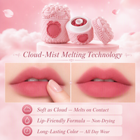 OEM ODM Gloss à lèvres minéral velours mat, longue tenue, haute pigmentation, waterproof, végan, motif gâteau fraise cœur rose mignon