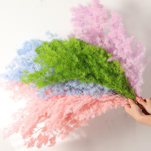 Fleur naturelle séchée et préservée Asparangus, Fleur <span class=keywords><strong>de</strong></span> Pougéa <span class=keywords><strong>de</strong></span> Penglai, Fleur <span class=keywords><strong>de</strong></span> <span class=keywords><strong>Fougère</strong></span> Ming, Effet naturel, Cadeau Saint-Valentin, Noël, Décoration d'intérieur - Product Image 6