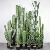 Cactus artificiel de style nordique luxueux, grande plante du désert réaliste en pot pour la décoration moderne de la maison et du bureau minimaliste