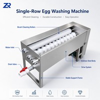 Laveuse industrielle de rangée unique en acier inoxydable pour œufs usagés, modèle USA