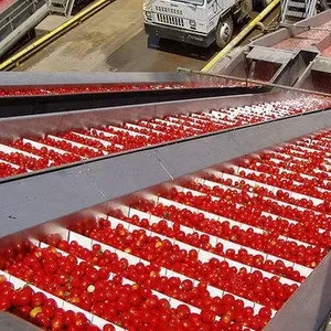 Linea di produzione di pasta vegetale per la lavorazione del pomodoro su piccola scala