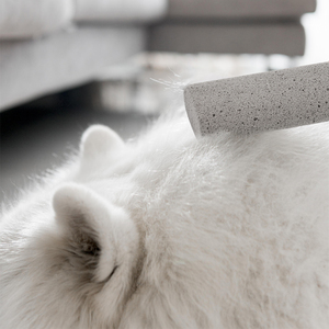 Pierre ponce pour le nettoyage domestique, éliminateur de poils d'animaux, outil réutilisable pour enlever les peluches et les poils de chiens et de chats - Product Image 1
