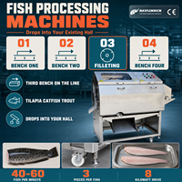 Mesin Pemotong Fillet Ikan Otomatis Stainless Steel 304 Berat Ikan 200-3000 g Start Satu Tombol untuk Ikan Nila Persiapan Ikan