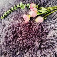 Tapis rond élégant en peluche polyester, salon, chambre à coucher d'enfants, design Oriental, 1 pièce