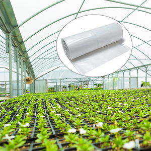 Película de invernadero para cultivo general de alta calidad que mantiene la temperatura y la humedad estables, gran oferta - Product Image 1