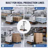 Robot Palettiseur Industriel Intelligent Automatisé à Haute Efficacité pour la Palettisation et l'Emballage Répétitifs de Cartons
