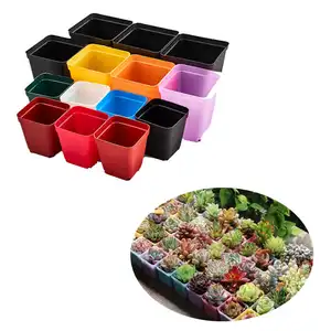 <span class=keywords><strong>Pot</strong></span> de fleur personnalisé pour plantes succulentes FD65, Pots de fleurs en plastique pour plantes succulentes - Product Image 1