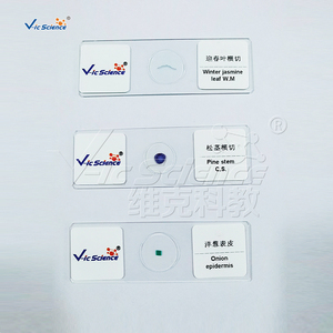 Juego de 8 Portaobjetos Preparados para Microscopio, para Botánica y Biología, Recursos Didácticos - Product Image 5