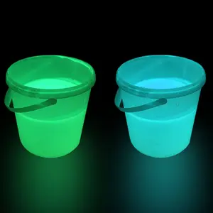 Wholesale Glow in the Dark Powder Pigments Epoxy Resin Color Pigment Dyes Luminous Powder Nail Art Painting Crafts