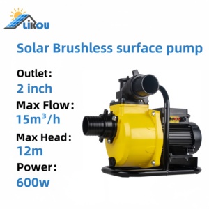 <span class=keywords><strong>Pompe</strong></span> à Eau Solaire LIKOU Haute Pression pour Irrigation & Agriculture, <span class=keywords><strong>Pompe</strong></span> de Surface 72V DC - Product Image 2