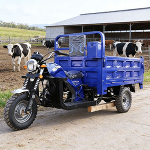 Tricycle à essence à trois roues pour usage commercial, tricycle moto - Product Image 1