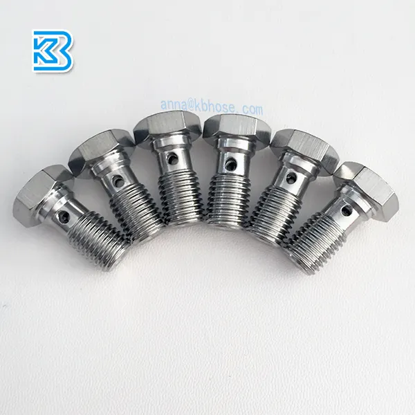 Hex Head Thép Không Gỉ Lỗ Duy Nhất M10x1.25 Banjo Bu Lông