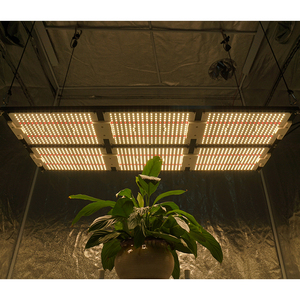 2022 Kingbrite <span class=keywords><strong>600W</strong></span> <span class=keywords><strong>Led</strong></span> <span class=keywords><strong>Grow</strong></span> Licht, Samsung Lm301h Met Epistar 660nm Rood