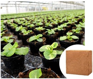 Eco-Friendly Coco <b>Coir</b> Pith Coconut Peat for Commercial Greenhouse Farming High Yield Soil Conditioner Bulk Supply Best Price - Product Image 3