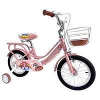 Sepeda Anak SY New Style 12 14 16 18 Inch untuk Anak Perempuan 12 Tahun Warna Pink Bisicleta Sepeda Anak