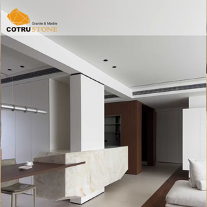 Piano di Lavoro in Quarzite Cristallo Cotrustone, Top Cucina Traslucido Bianco Cristallino per Villa e Hotel - Product Image 5