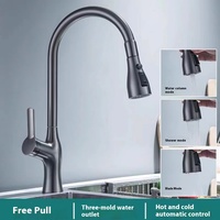 Robinet d'évier de cuisine direct d'usine Style classique moderne coulissant avec eau chaude froide rotative anti-éclaboussures lave-vaisselle en laiton