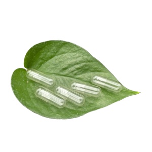 Bán Buôn Trong Suốt Rỗng Hpmc Rau Ăn Chay Vỏ Viên Nang Nhà Máy Rỗng Cứng Gelatin Viên Nang Kích Thước 0 00 000 1 2 3 4 <span class=keywords><strong>5</strong></span> - Product Image 1