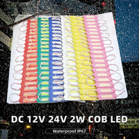 Module LED COB SMD 2W DC 12V 24V IP67 Étanche Haute IRC Dimmable avec Lentille d'Injection pour Éclairage de Panneaux, Lettres Lumineuses et Affichages