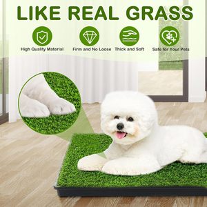 Tapis de propreté lavable pour chiot, en herbe artificielle, réutilisable, avec plateau, pour chien - Product Image 2