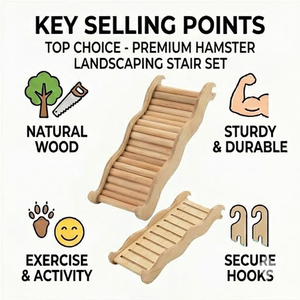 Offre Spéciale Escaliers <span class=keywords><strong>de</strong></span> Hamster multifonctionnels <span class=keywords><strong>de</strong></span> luxe en spirale en bois massif personnalisables et écologiques Fournitures pour petits animaux - Product Image 2
