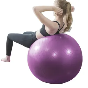 Zhensheng Groothandel Custom Logo Stabiliteit Balans Gym Yoga Bal