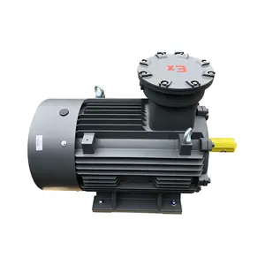 Customized New Products Nanyang Explosion-Proof Motors Explosion-Proof Electric Motor For Gas Industry