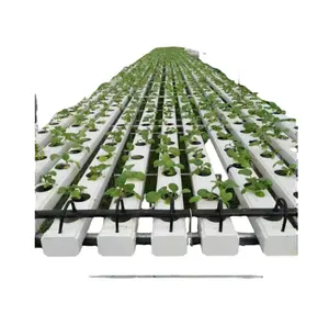 Hydroponic NFT Channel Growing System Water Circulation System Greenhouse Vertical Channel Growing Pipe Gutter NFT System