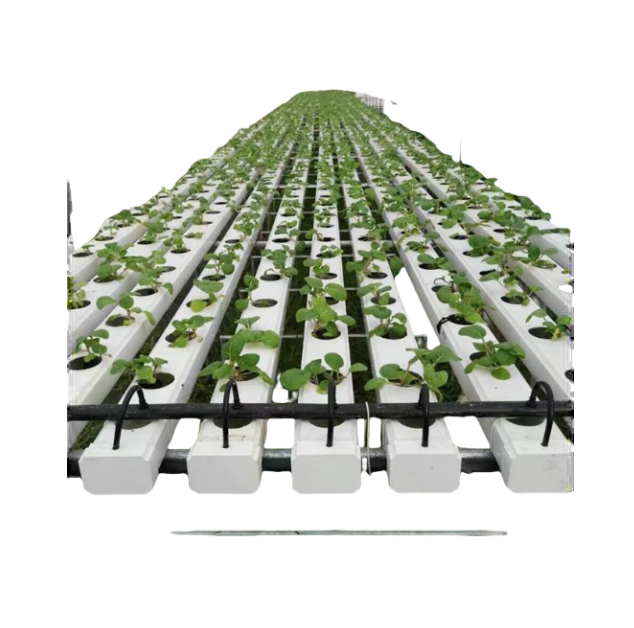 Unigreen Hydroponic NFT Channel Growing System for Greenhouses