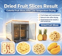 Industriële voedseldroger rechtstreeks van de fabriek, droogoven op lage temperatuur voor de productielijn van fruit- en groentechips, bescherming tegen lage temperaturen
