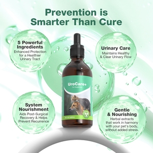 Integratore Liquido per Aumento di Peso per Cani e Gatti, Supporto Naturale per Tratto Urinario e Reni, Cura Minerale a Rapido Assorbimento per il Recupero degli Animali Domestici - Product Image 3