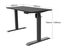 Bureau électrique assis-debout motorisé NANDI, ergonomique et extensible, 48x24 pouces, plateau composite, structure en fer, usage villa, 60 kg