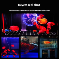 Lampe LED Submersible Haute Intensité Étanche pour Aquarium avec Design Dragon Doré, Amplificateur de Rouge Intense pour Poissons Rouges Vifs - Vente Flash