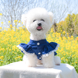 PETCIRCLE pet clothing for dogs and cats, <b>cute</b> strawberry denim skirt for teddy <b>bears</b> and Bichons - Product Image 3