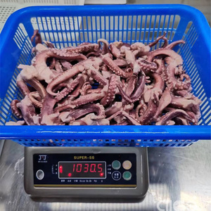 Offre Spéciale : Tentacules de Calamar Congelés IQF, Nettoyés, Entiers, avec Ventouses, Certifiés HACCP, Produits de la Mer - Product Image 2