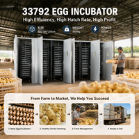 Incubateur d'œufs automatique BeYou de qualité commerciale 33792 - Système d'incubation avicole haut de gamme pour usage agricole