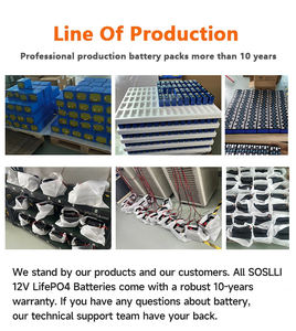 Lithium batterij 12V 24V 60Ah 90Ah 100Ah 150Ah 200Ah 300Ah Lifepo4 batterij met BMS voor camper, maritiem, zonne-energie, trollingmotor, off-grid - Product Image 4