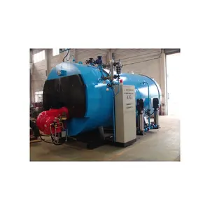 Manufacturer Supplies Steam Generator Boiler Coal Fired Gas Steam Boiler