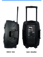 Deflectores de sonido profesional Feiyang, altavoz de karaoke de 15 pulgadas, altavoces portátiles Bluetooth para exteriores, boombox activo para fiestas