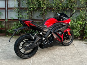 Modèle Honda <span class=keywords><strong>CBR</strong></span> d'occasion, moto à essence Taion GP2, <span class=keywords><strong>250cc</strong></span>, moto de sport d'occasion - Product Image 6