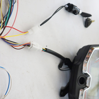 Customizable Motorcycle Motorbike Electric Tricycle Wiring Harness Manufacturer Product for Electrical Systems